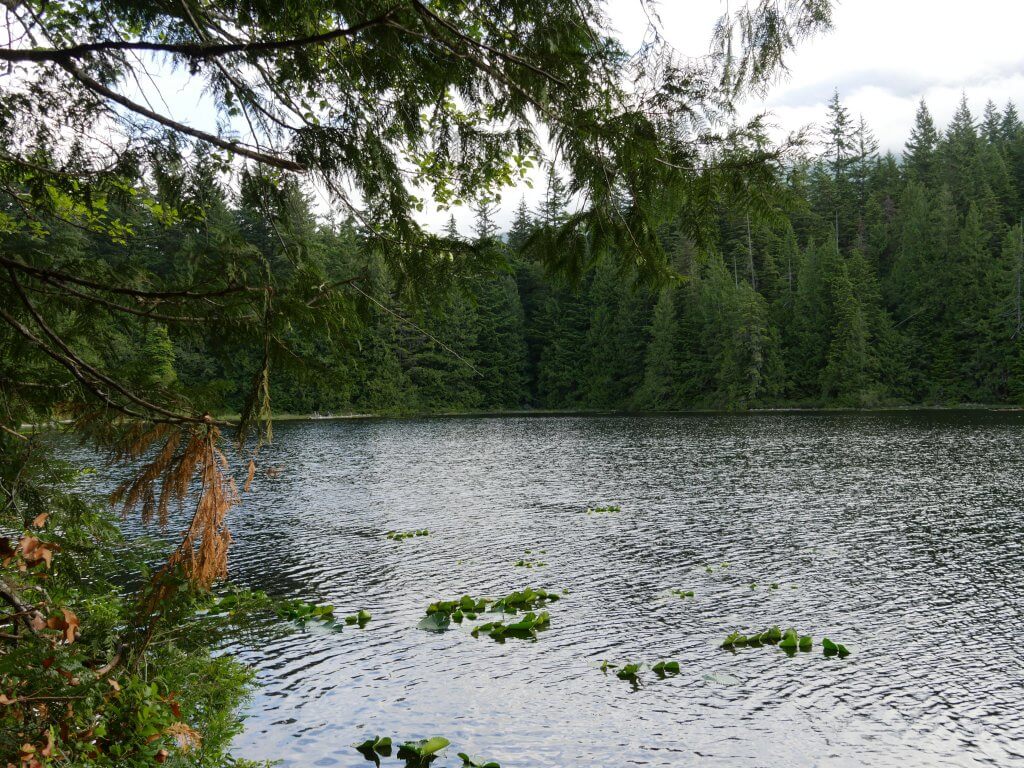 Stump Lake - Four Lakes Trail