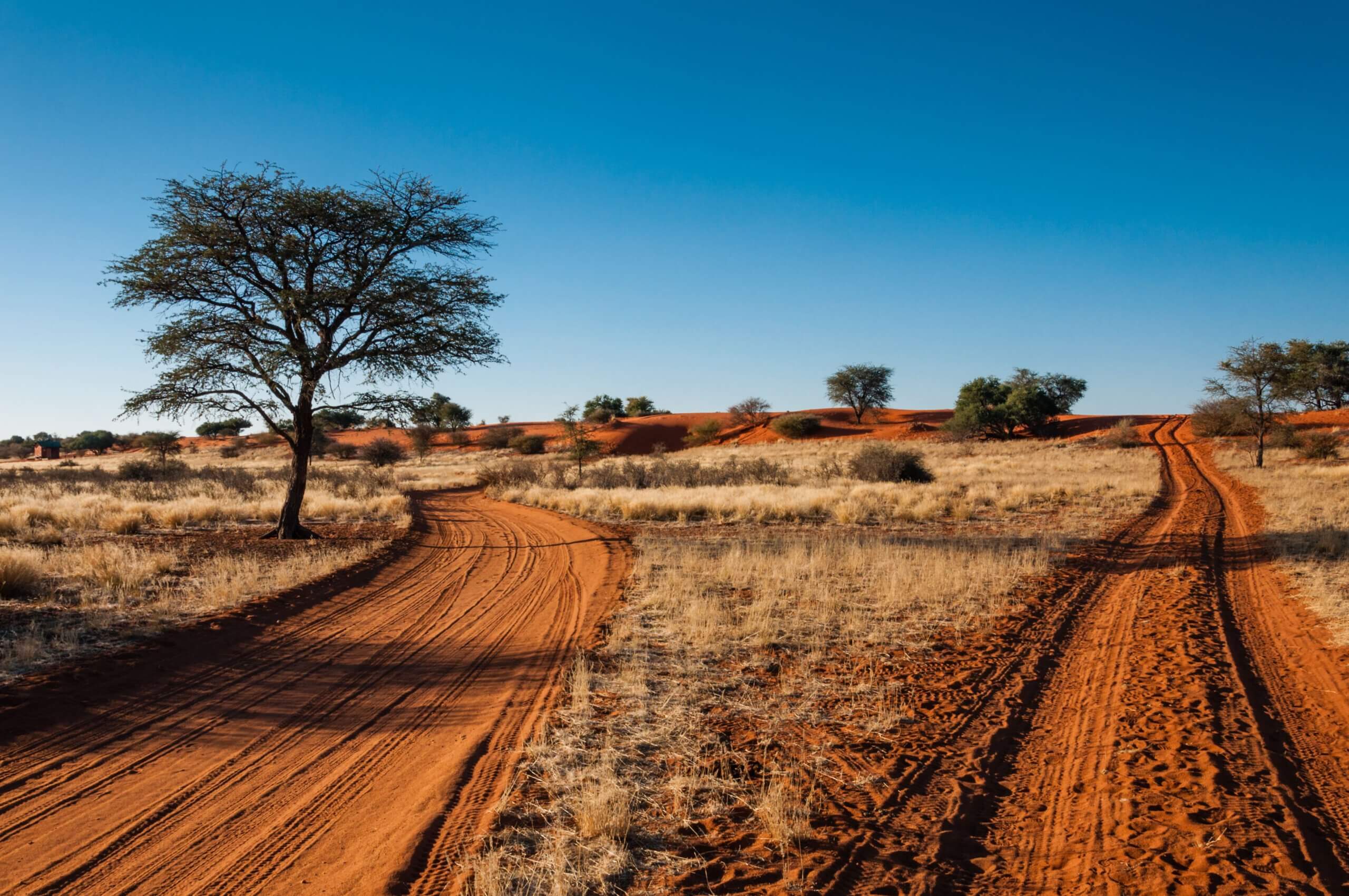 Kalahari Straße